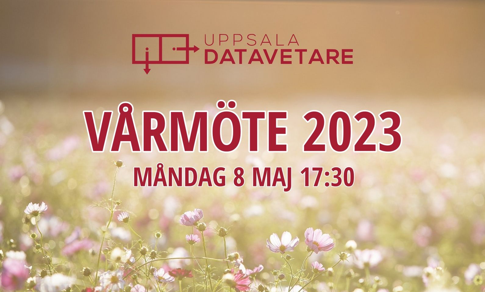 DV:s Vårmöte 2023